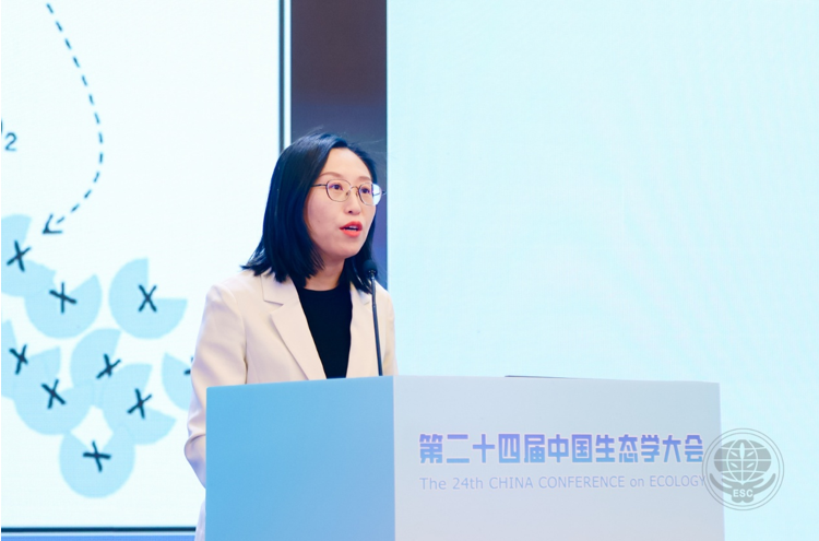 fea61ff1-f4d1-41cf-9cbc-33de07178d9a.png fea61ff1-f4d1-41cf-9cbc-33de07178d9a.png